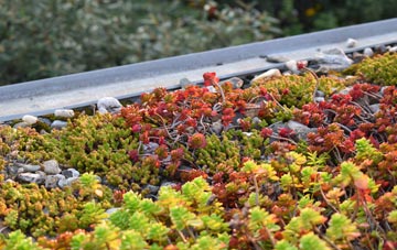 the cost of Glatton green roof installation