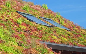 Glatton living roof systems